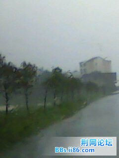 IMG0056A.jpg