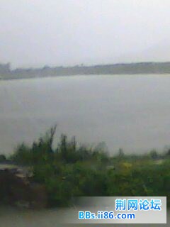 IMG0057A.jpg