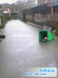 IMG0051A.jpg