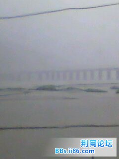 IMG0055A.jpg