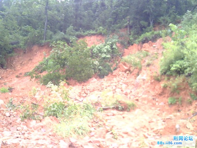 IMG0158A.jpg