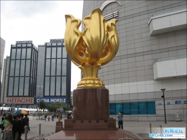 2008824145939.jpg