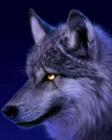 u=3230694378,4229160205&fm=0&gp=40.jpg