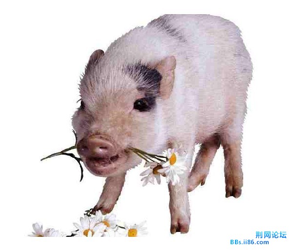 未命名.jpg