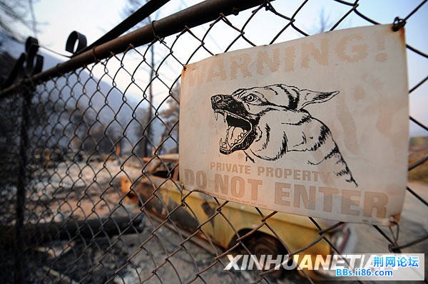 xin_15209060310250782944734.jpg