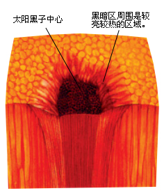 e9bb91e5ad901.jpg
