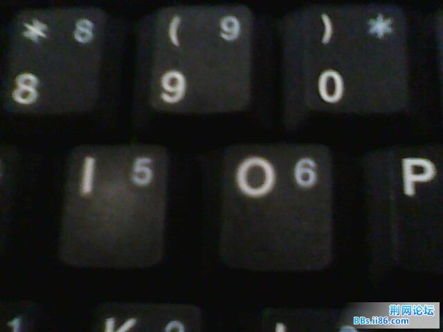IMG0614A.jpg