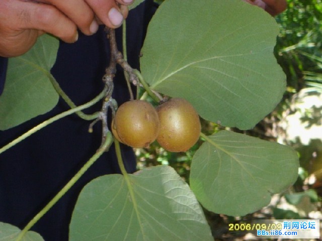 照片022.jpg