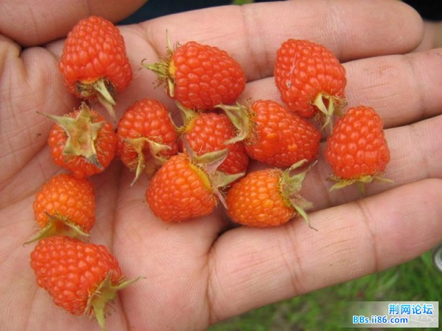 照片012.jpg