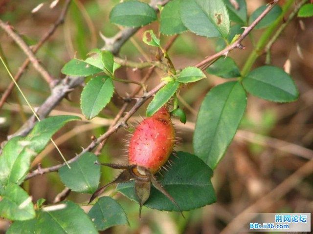 照片028.jpg