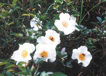 照片027.jpg