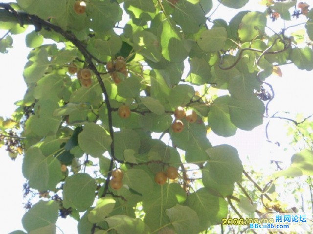 照片021.jpg