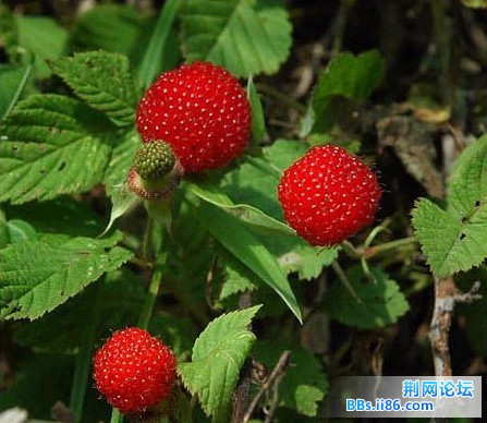 照片013.jpg