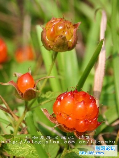 照片015.jpg