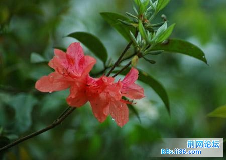 照片019.jpg