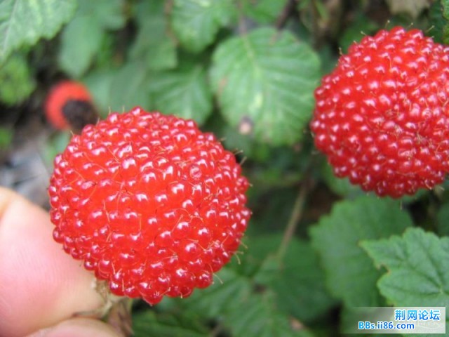 照片014.jpg