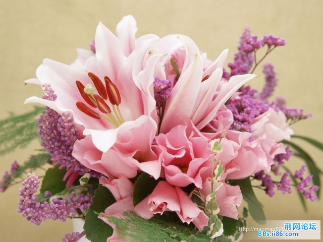 f5fe3a2643bb3e00d50742dd.jpg