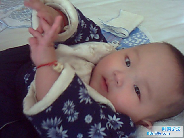 MyPhoto2089194.jpg