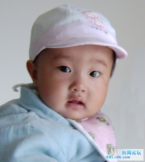 416898.jpg