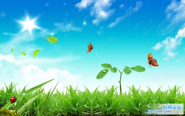 HCJW_002002_调整大小.jpg