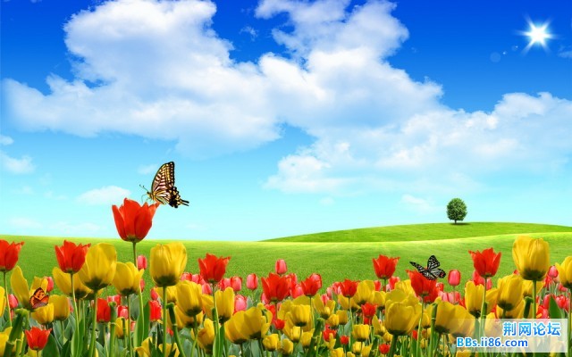 HCJW_001020_调整大小.jpg