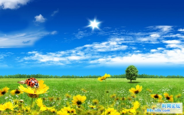 HCJW_002004_调整大小.jpg