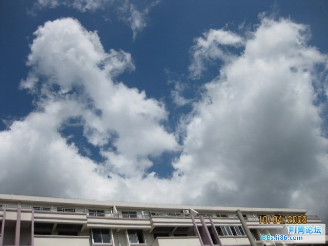 IMG_1333_缩小大小.jpg
