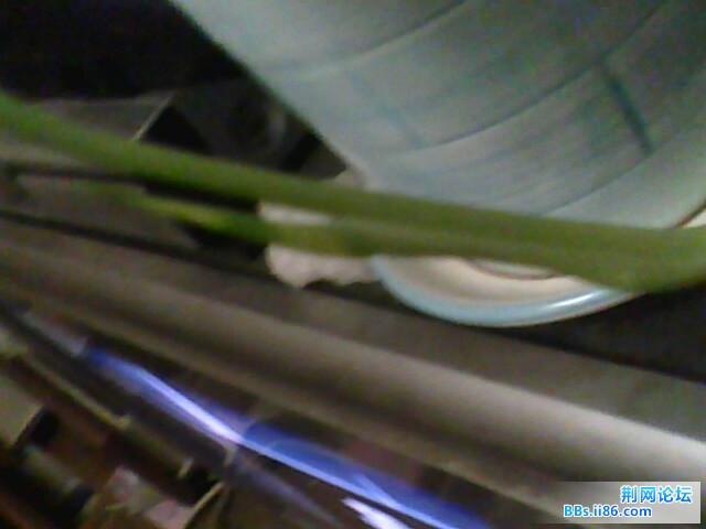 IMG0626A.jpg