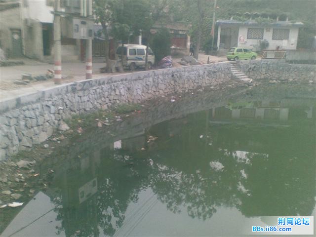 图像479.jpg