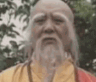 猪.gif