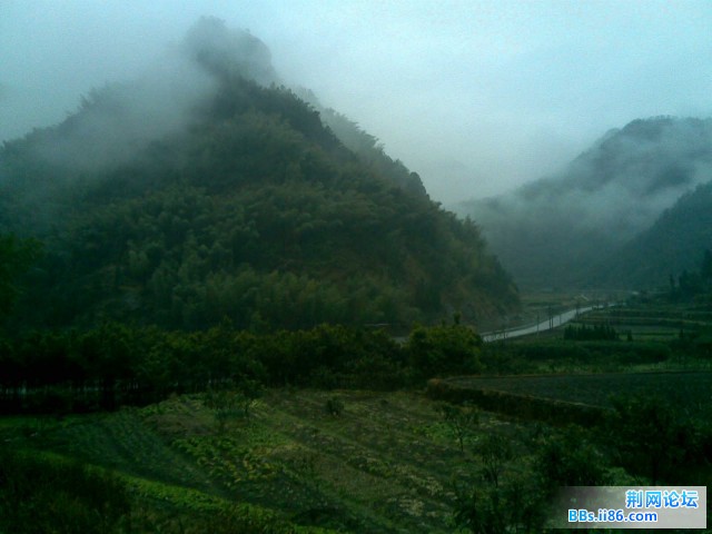 20090128.jpg