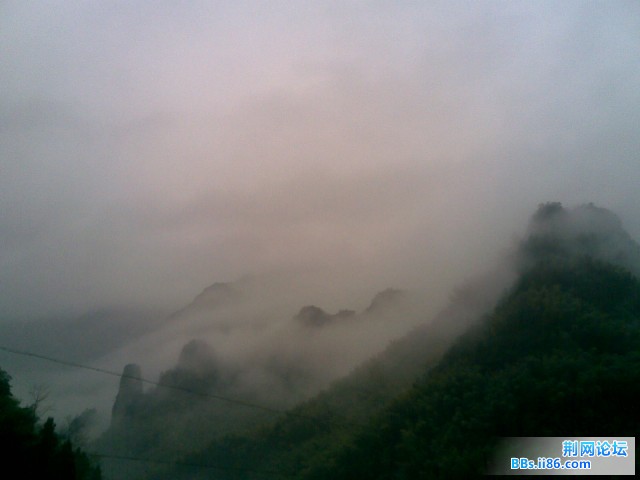20090128(002).jpg
