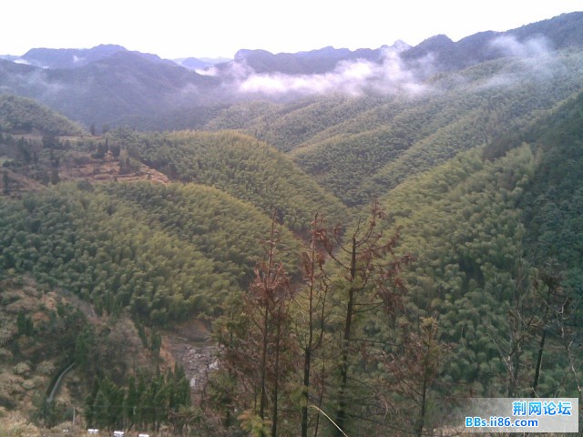 20090129.jpg
