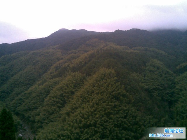 20090129(009).jpg