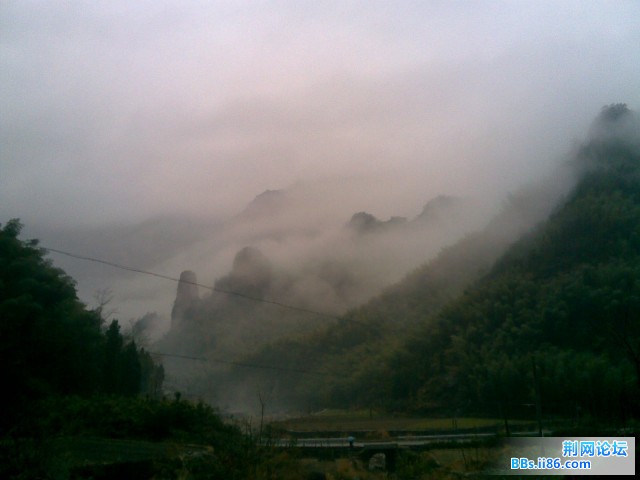 20090128(001).jpg