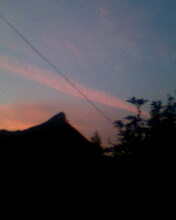 IMG0737A.jpg