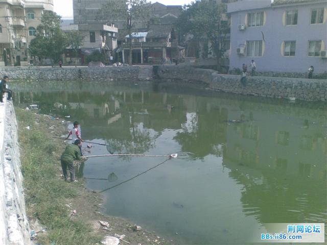 图像503.jpg
