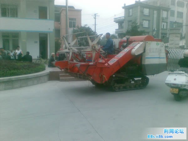 图像505.jpg