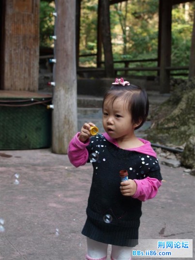 PA174486.JPG