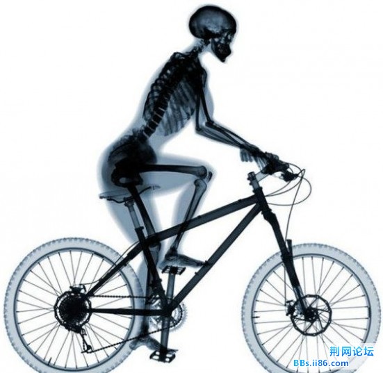 bike.jpg