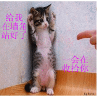 a3.GIF