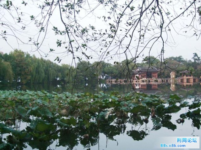 DSCF1981333.jpg