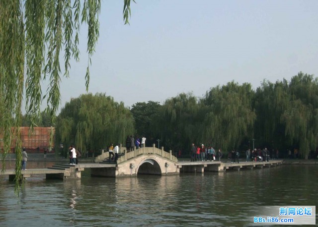 qiao 拷贝.jpg
