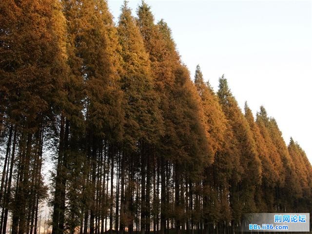 20091124_f6868bc8113744e97c0e1tHz7iwFoiaG.jpg