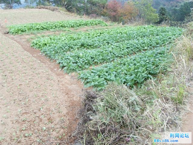 SDC14953.JPG