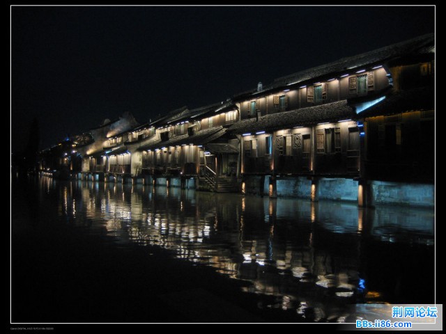 照片20090320 138---夜.jpg