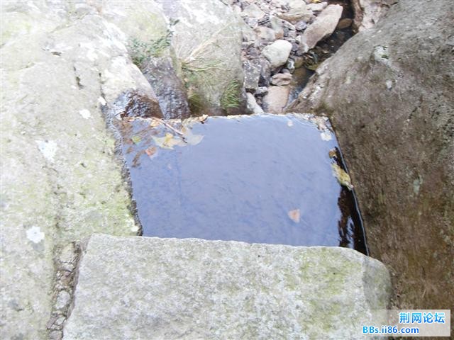 SDC15009.JPG