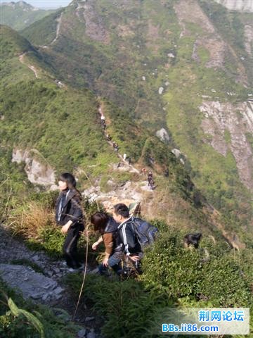 SDC14997.JPG