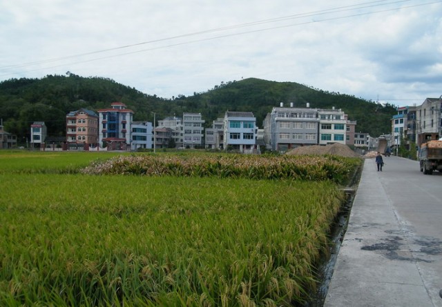 DSCF1473李宅基村2.JPG