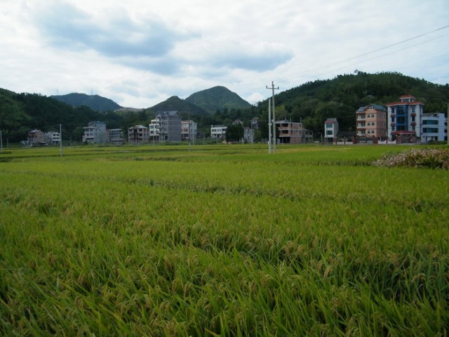 DSCF1472李宅基村1.JPG